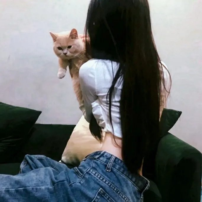 情深缘起